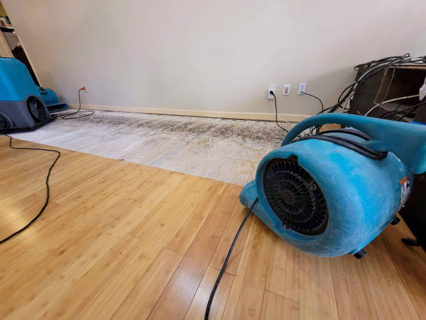 Professional Sewage Cleanup technician working in Bellmore, NY